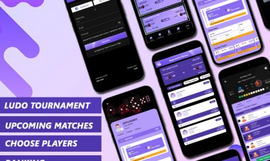 Demo of Ludo Dream 11 App. Development Cost of Ludo Dream 11 App.