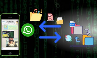 WhatsApp Data को चुटकियों में करें Transfer? पुराने Smartphone के WhatsApp Data को चुटकियों में करें Transfer?