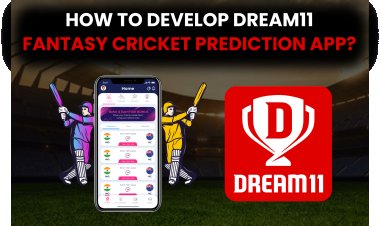 Dream11: Fantasy Cricket Prediction App?