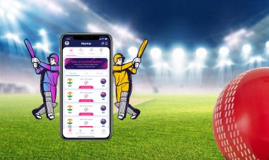 फैंटेसी क्रिकेट क्या है?
