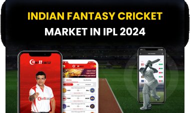 Indian fantasy cricket market in ipl 2024.