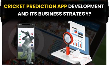 Cricket Prediction App Development and its Business Strategy?