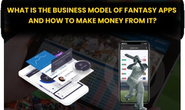 What is the business model of fantasy apps and How to Make Money from it? 