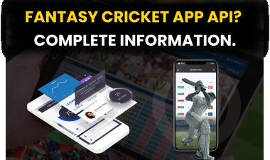 Fantasy Cricket App API? Complete Information. 