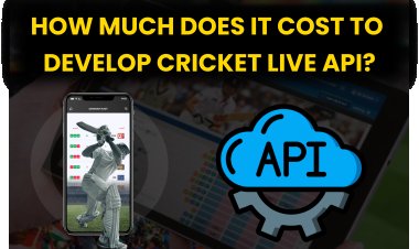How Much Does it Cost to Develop Cricket Live API?