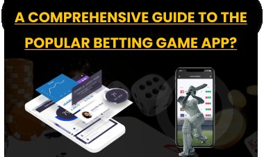 A Comprehensive Guide to the Popular Betting Game App?