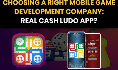 Choosing a Right Mobile Game Development Company: Real Cash Ludo App? 