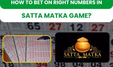 How to Bet on Right Numbers in Satta Matka Game? 