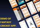 Demo of Fantasy Cricket App. Development Cost of Fantasy Cricket App?