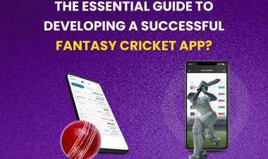 The Essential Guide to Developing a Successful Fantasy cricket app?