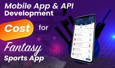 Mobile app and API development cost for fantasy sports apps.