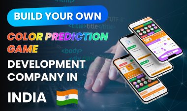 Best Color Prediction game development company in India? | Color Prediction game.