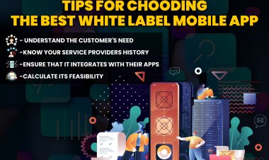 Tips for choosing the best white label mobile app?