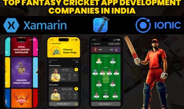 Top Fantasy Cricket App Development Companies in India.