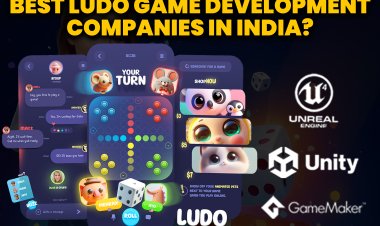 Best Ludo Game Development Companies in India? | Ludo Game Development.