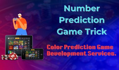 Number Prediction Game Trick - Color Prediction Game Development Services.