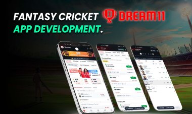 Fantasy Cricket Dream11 App Development?