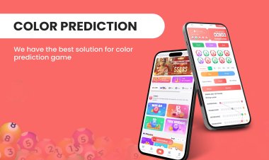 Color Prediction Game Development | 91 Club Colour Prediction Game App.