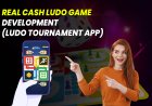 Real Cash Ludo Game vs Ludo Tournament Game.
